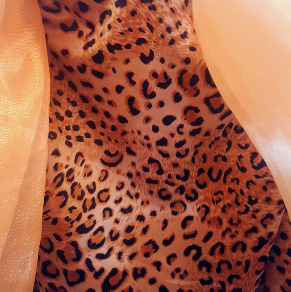 GORGEOUS Cotillion / Prom Dress - Picture 6 of 7